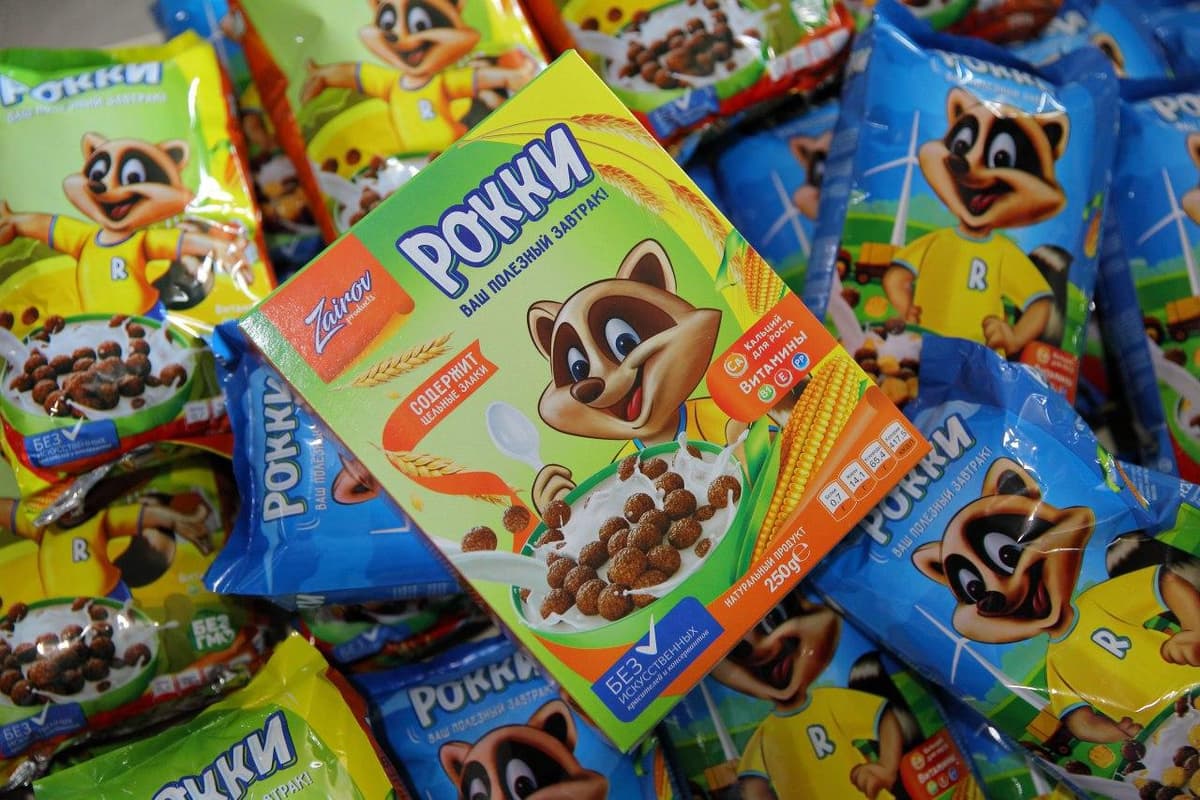 Kattalar va bolalar uchun Rokki