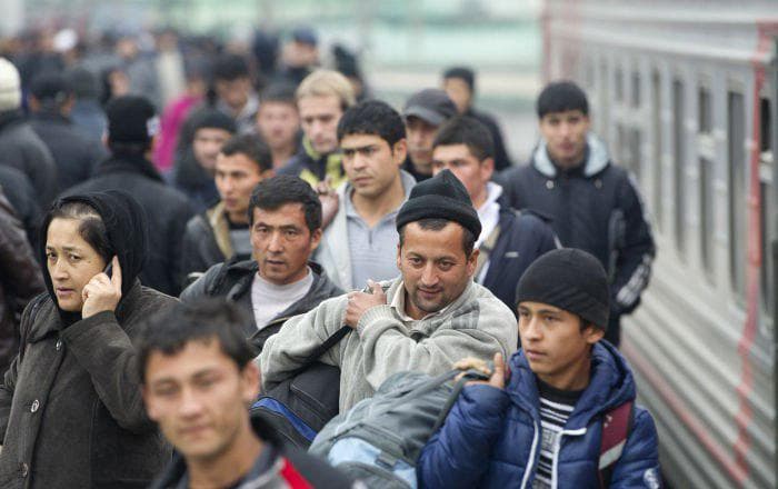 O‘zbekistonda migrantlarga aloqador qonun loyihasi ishlab chiqiladi