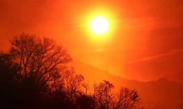 Britaniyalik meteorologlar kelgusi besh yillikda kuchli jazirama bo‘lishidan ogohlantirmoqda