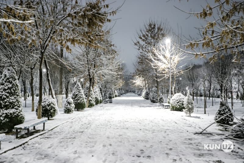 Qor qo‘ynidagi Toshkent (fotojamlanma)