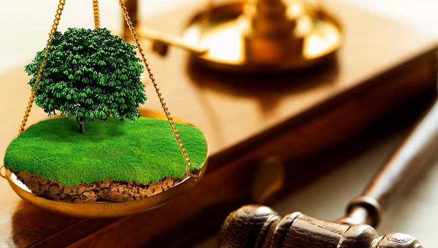Ҳокимлар ноқонуний ер ажратгани учун нега жавобгарликка тортилмаган?