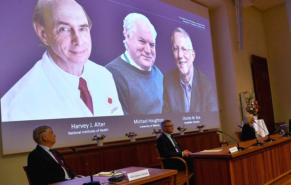 Gepatit S kasalligini tadqiq qilgan amerikalik va britaniyalik olimlar Nobel mukofotini qo‘lga kiritdi