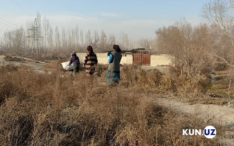 Tong sahardan o‘tin tergani zovur bo‘yiga - Qo‘shtepaning Langarida o‘tgan bir kun