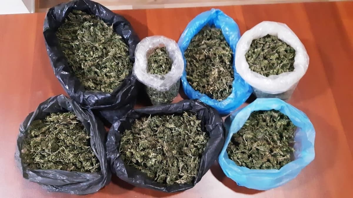 Samarqandda 1 kilogrammdan ortiq marixuana savdosiga chek qo‘yildi