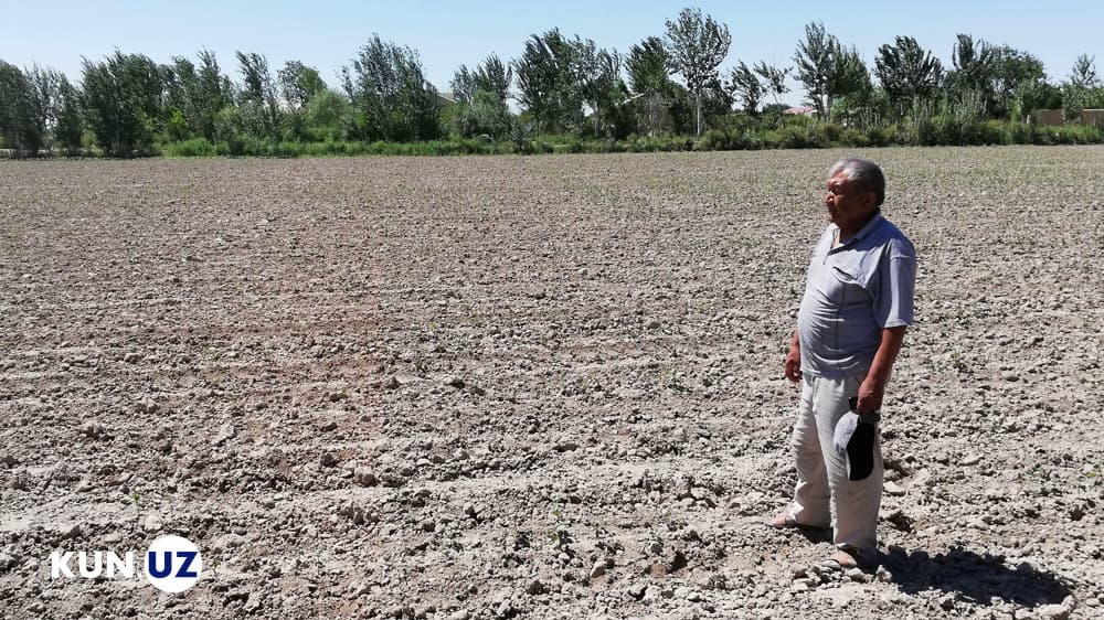 «Endi kimga shikoyat qilishim kerak?» - hazorasplik fermerning yeri qalbaki hujjat bilan qaytarib olingan bo‘lishi mumkin
