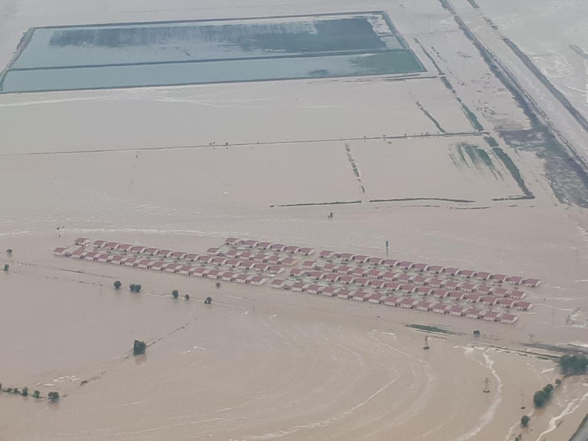 Foto: Sardobada suv toshqini oqibatlari