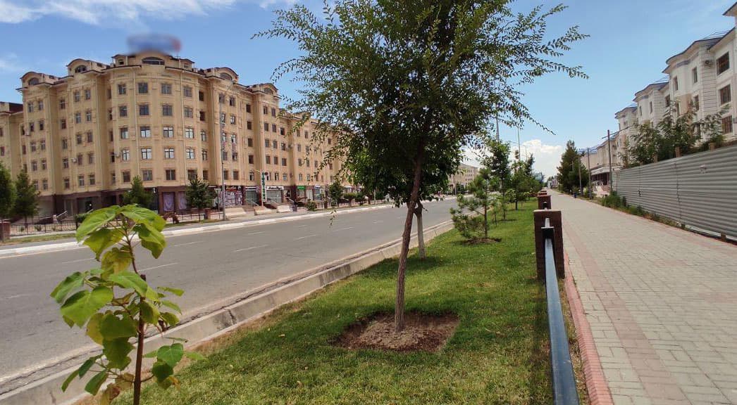 Қаршида карантин чeкловлари босқичма-босқич юмшатилмоқда