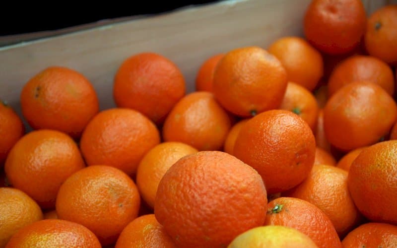 O‘zbekistonga 10 oyda 22,4 ming tonna mandarin import qilingani ma'lum bo‘ldi