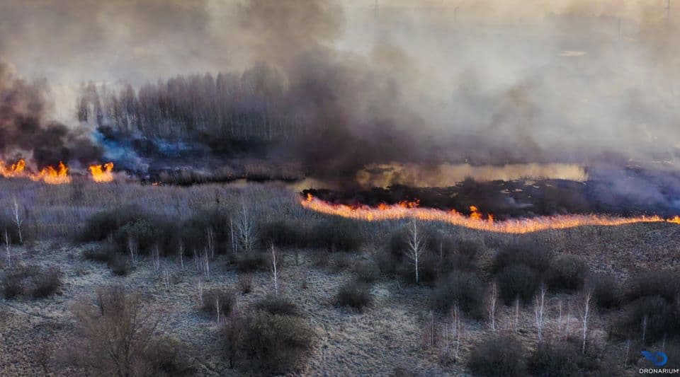 Chernobil hududidagi yong‘in o‘chirildi