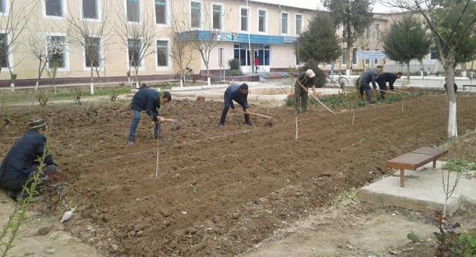 Toşkent viloyatida maktab direktorlariga tazyiq ötkazgan hokim örinbosari jarimaga tortildi