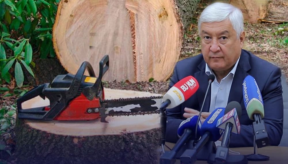 «Bir yildan keyin daraxtlarga nisbatan «varvarcha» munosabat bo‘lmaydi» - Baxtiyor Rahmonov