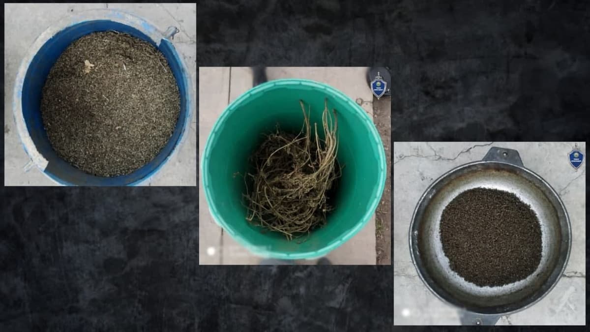 Yuqori Chirchiqdagi xonadondan qariyb 14 kilogramm giyohvand modda topildi