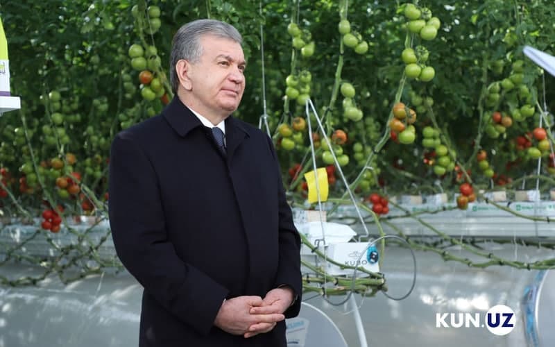 Мирзиёев посетил инновационную теплицу пятого поколения в Ханкинском районе