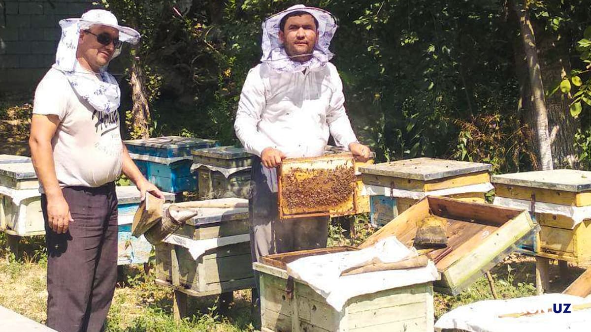 «Har bir oila – tadbirkor» dasturiga yana salkam 100 mln dollar ajratildi