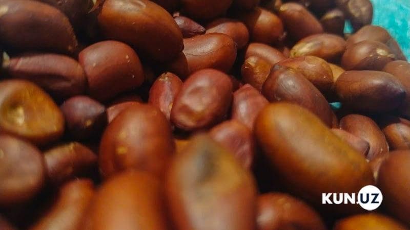 O‘zbekiston Xitoyga yeryong‘oq eksport qilishni boshladi