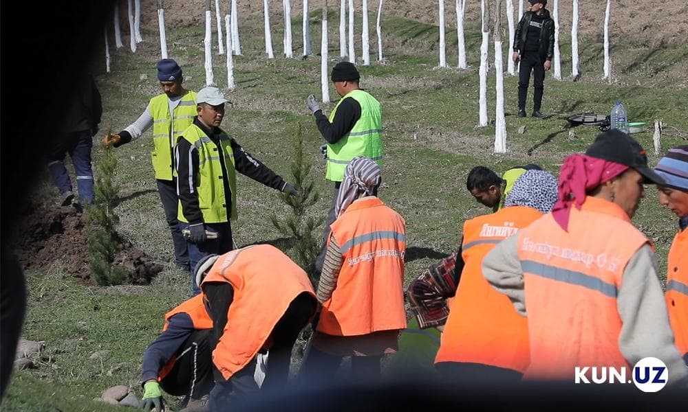 Karantin tugadi, endi hashar bo‘ladimi?