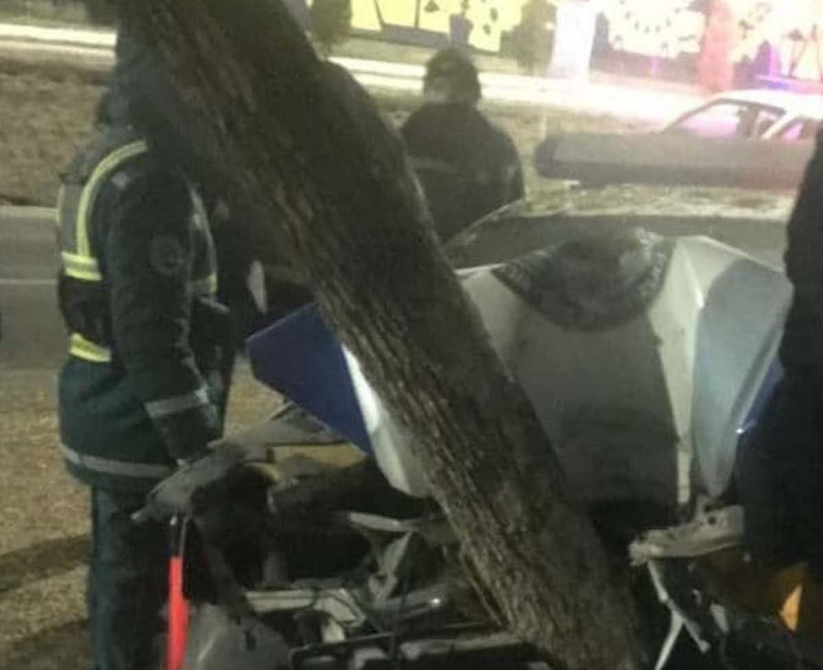 Toshkentda YPX xodimi xizmat avtomobilida daraxtga borib urildi