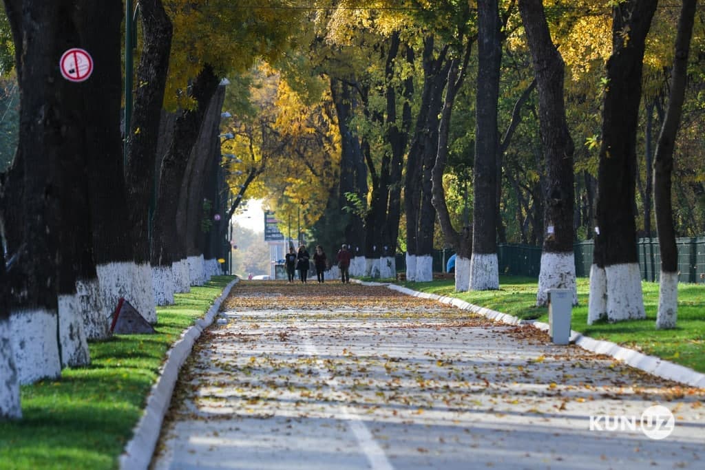 «O‘zgidromet» dam olish kunlari qanday ob-havo kuzatilishini ma'lum qildi