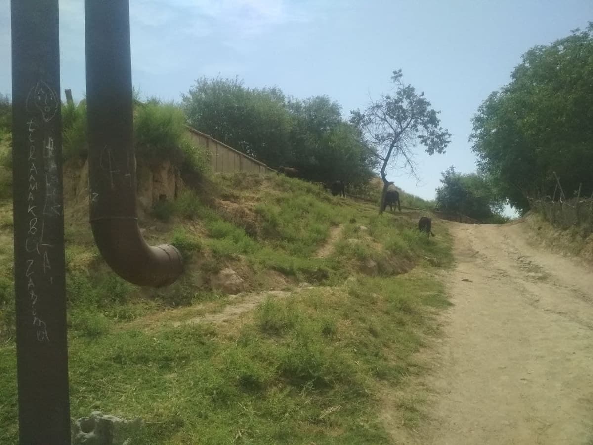 Denovda xalq noroziligiga qaramay kesib ketilayotgan quvurlar talon-toroj qilinyaptimi?