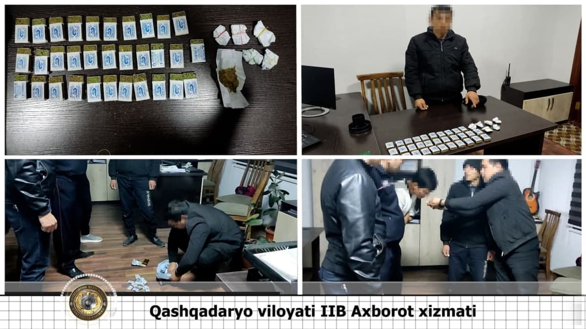 Qashqadaryoda ko‘knor va marixuana giyohvandlik moddalarini olib ketayotgan shaxs ushlandi