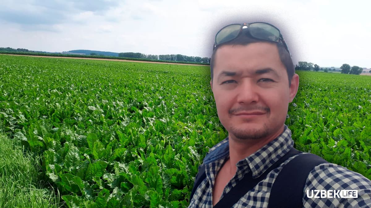 Qishloq hayoti, nemis dehqonlari siri – Germaniyadagi o‘zbek agronomi bilan suhbat