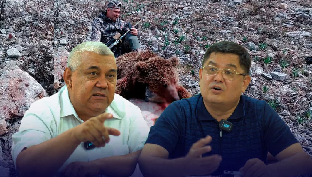 «3 ming dollarlik ov» - Ekoqo‘m mutasaddilari o‘ldirilgan qo‘ng‘ir ayiq bo‘yicha tushuntirish berdi
