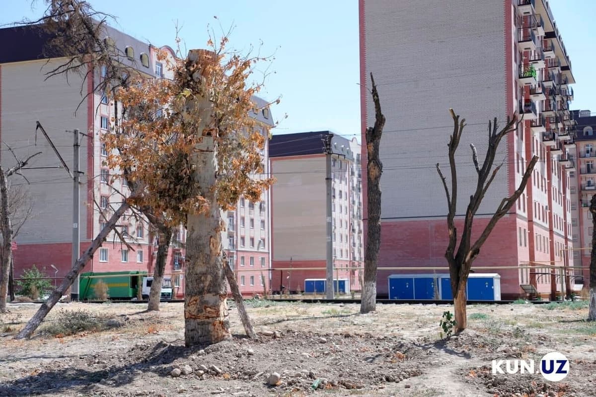 “Moratorium on tree-cutting will be extended and the responsibility will be sharply strengthened” – President