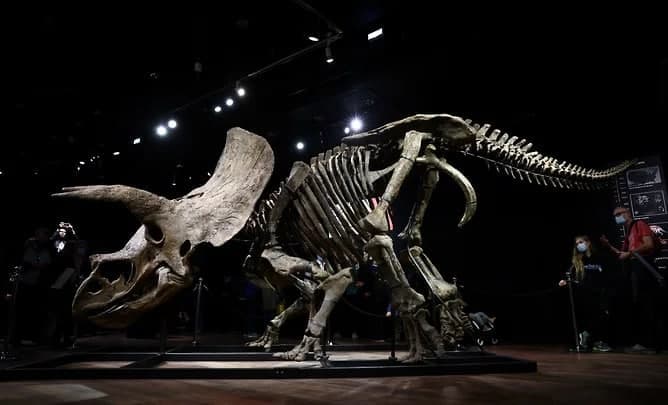 Parijdagi kimoshdi savdosida dinozavr skeleti 6,65 million yevroga sotildi