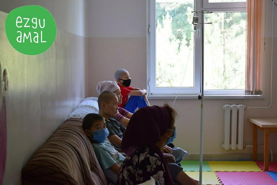 Saratonga chalingan bolalar uchun xayriya qutilari: yig‘ilgan mablag‘ bemorlarga qanday yetib boradi?