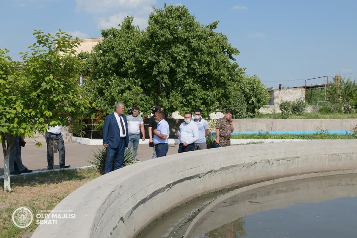 В Сенате рассказали, какие предприятия источают зловонный запах в Ташкенте