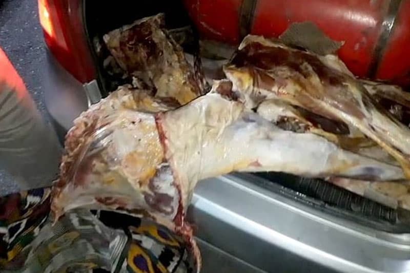 Buxorodan Toshkentga olib ketilayotgan sifatsiz go‘shtlar Navoiyda to‘xtatib qolindi