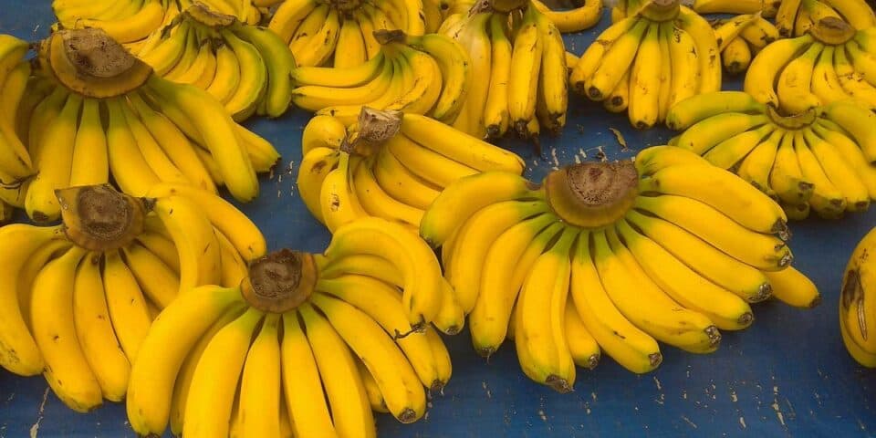 Banan dunyo bozorida keskin qimmatlashmoqda. Uning ba'zi navlari butunlay yo‘qolib ketishi ham mumkin