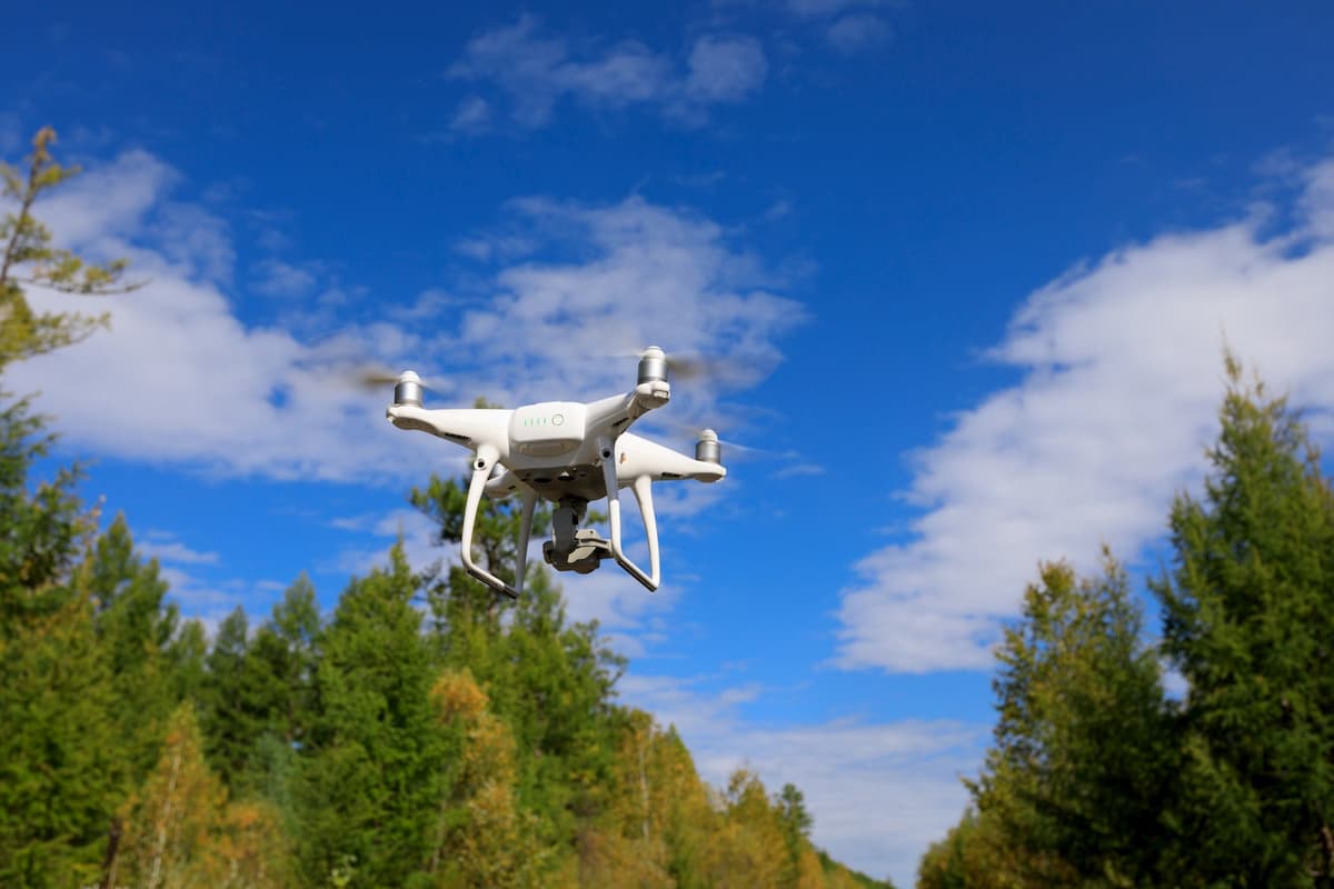 Ekoqo‘mita daraxtlarni himoyalash uchun dronlardan foydalana boshlaydi
