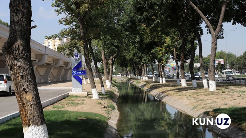 Sergeli–Qo‘yliq yer usti metrosi qurilishida 785 ta daraxt boshqa joyga ko‘chiriladi