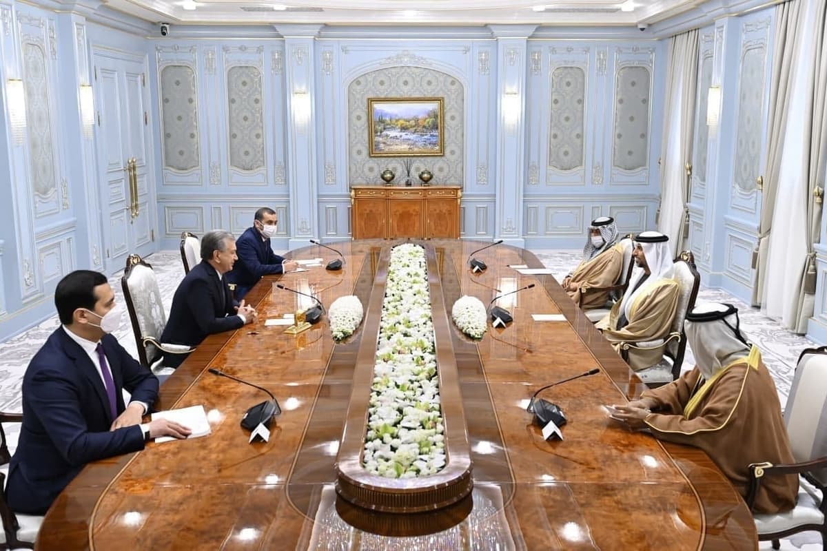 Shavkat Mirziyoyev receives UAE delegation