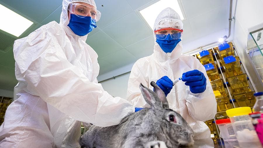 Ўзбекистонда ҳайвонлар учун Covid вакцинаси синовдан ўтказилади