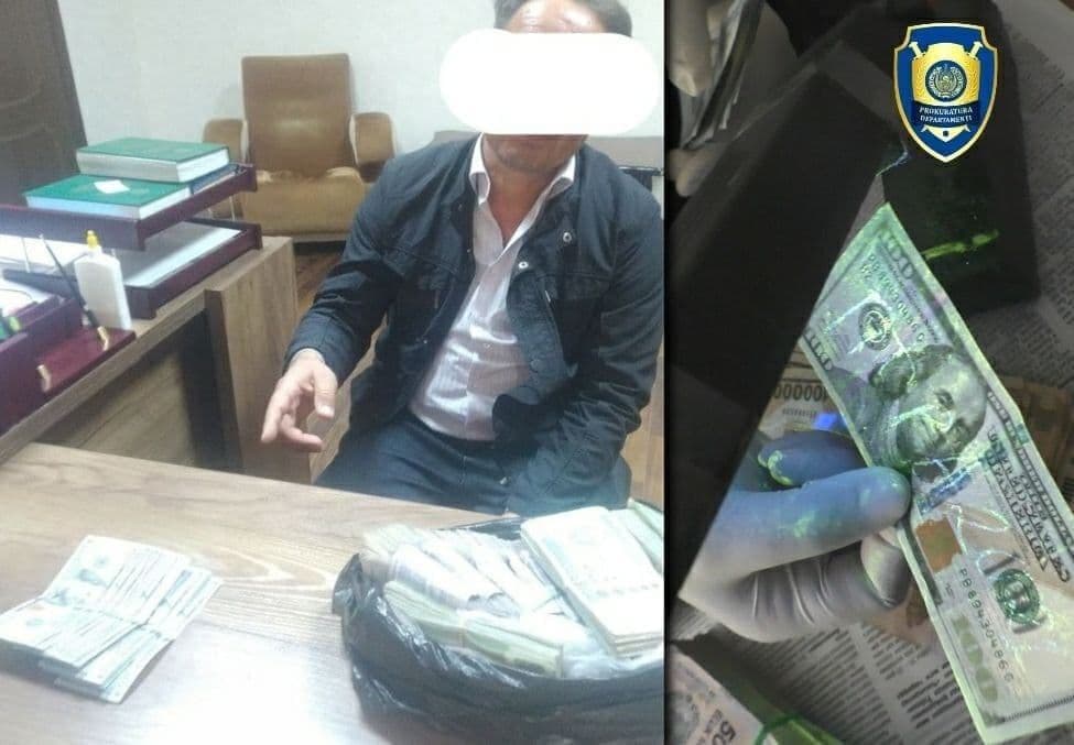 Navoiyda hokimlik zaxirasidagi yerni 75 mln so‘mga sotmoqchi bo‘lgan shaxs ushlandi