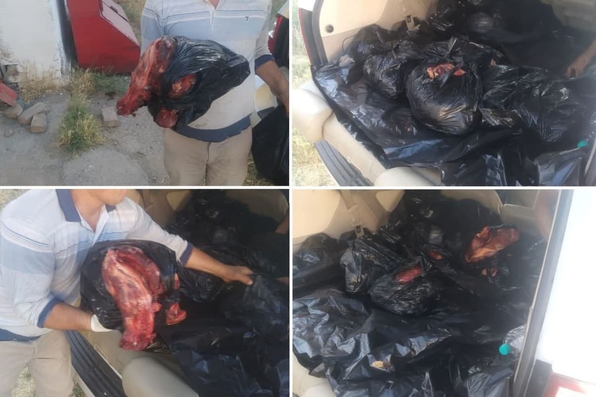 Qashqadaryoda Toshkentga olib ketilayotgan noma'lum hayvonga tegishli iste'molga yaroqsiz go‘sht to‘xtatib qolindi