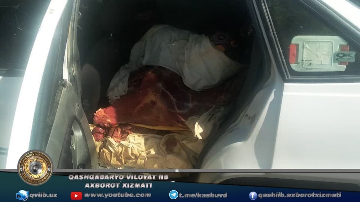 Qashqadaryodan olib chiqilayotgan 450 kilogramm iste'molga yaroqsiz noma'lum hayvon go‘shti yo‘q qilindi