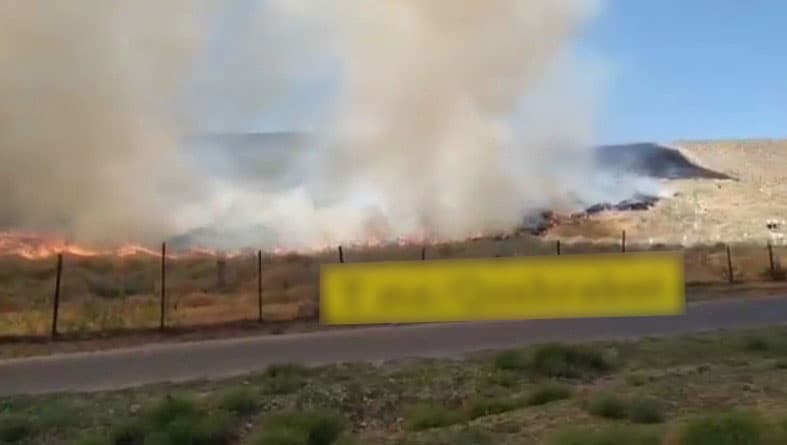 В Самаркандской области загорелось кладбище - видео
