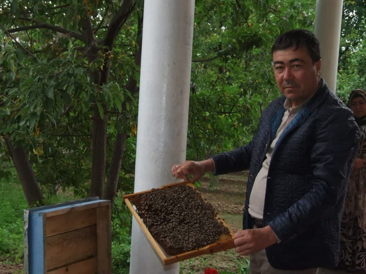 Kitoblik tadbirkor asalarichilikdan yiliga 100 mln so‘mdan ortiq daromad topmoqda