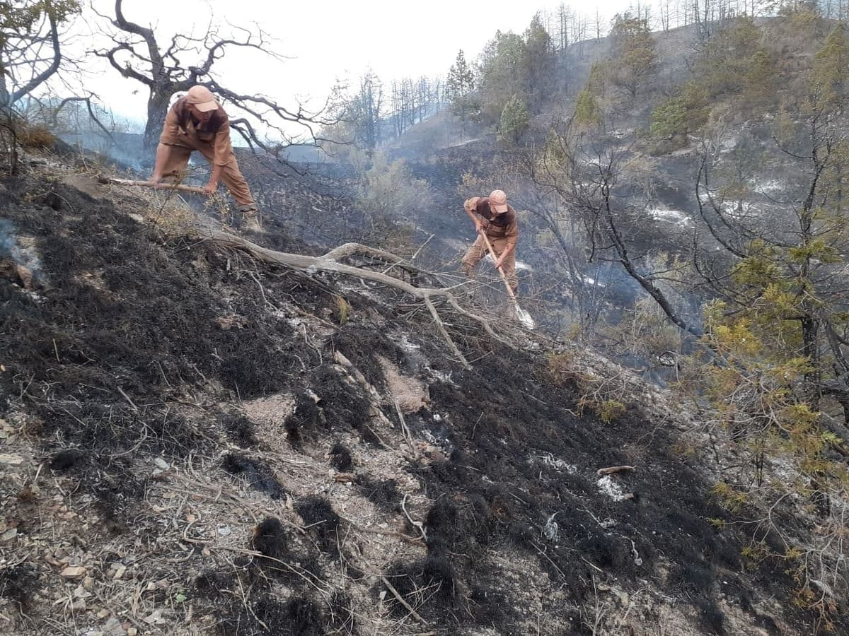 Пожар в Зааминских горах полностью потушен