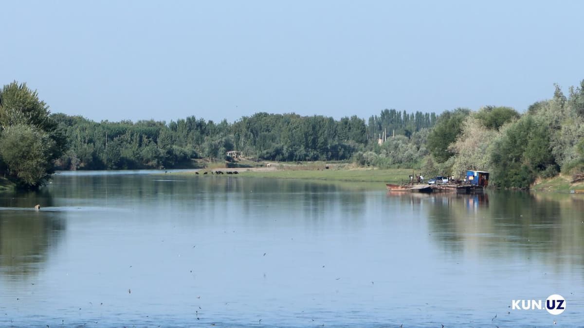 В Наманганской области женщина пыталась бросить в реку своих детей