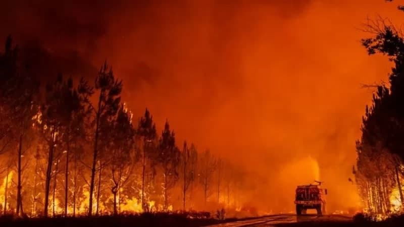 «Это монстр!»: лесной пожар во Франции видно из космоса