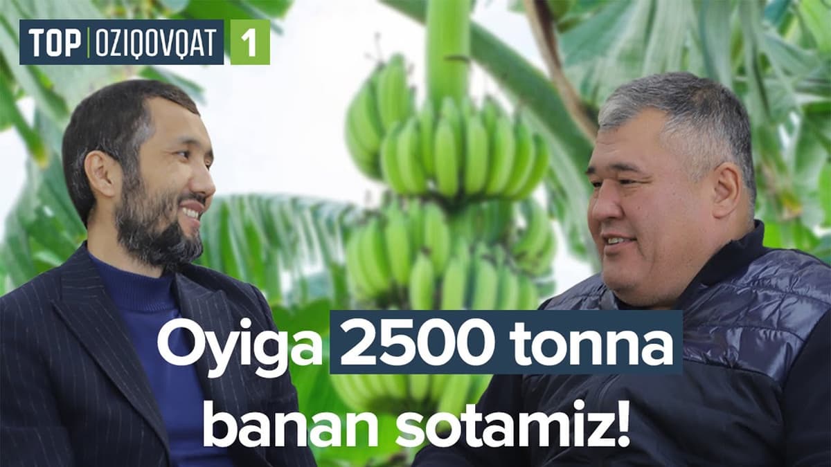 Oziqovqat.com sayti YouTube’da faoliyat boshladi
