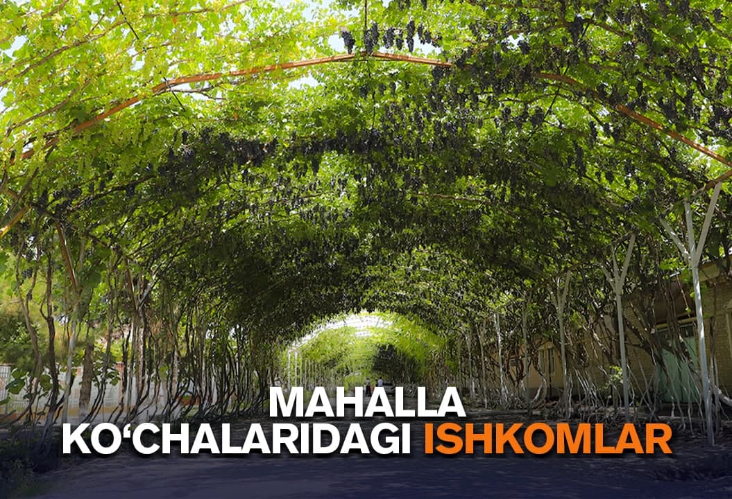 Andijondagi uzumchilar mahallasi