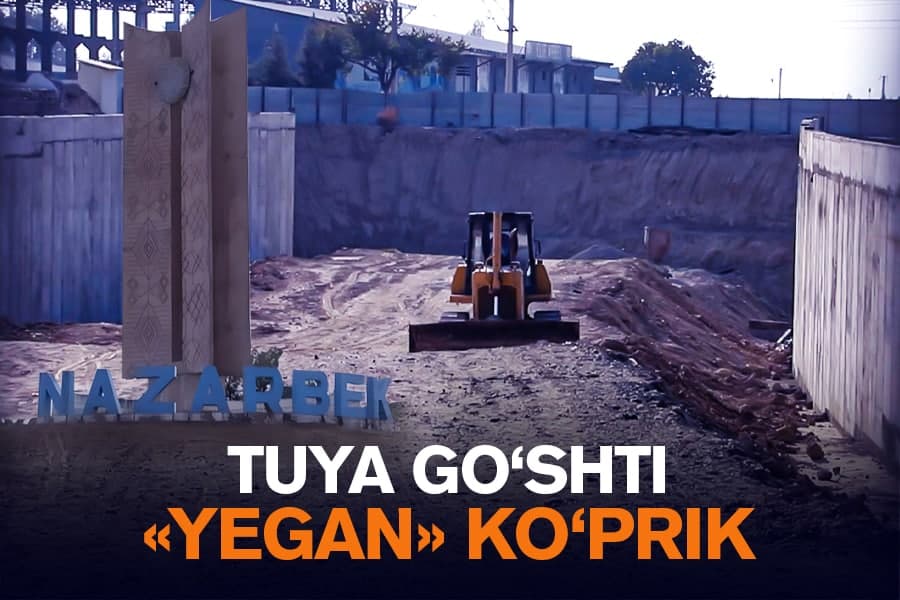 Toshkent viloyatidagi sansalorlik: Nazarbekdagi ko‘prik qurilishi boshi berk ko‘chadami?