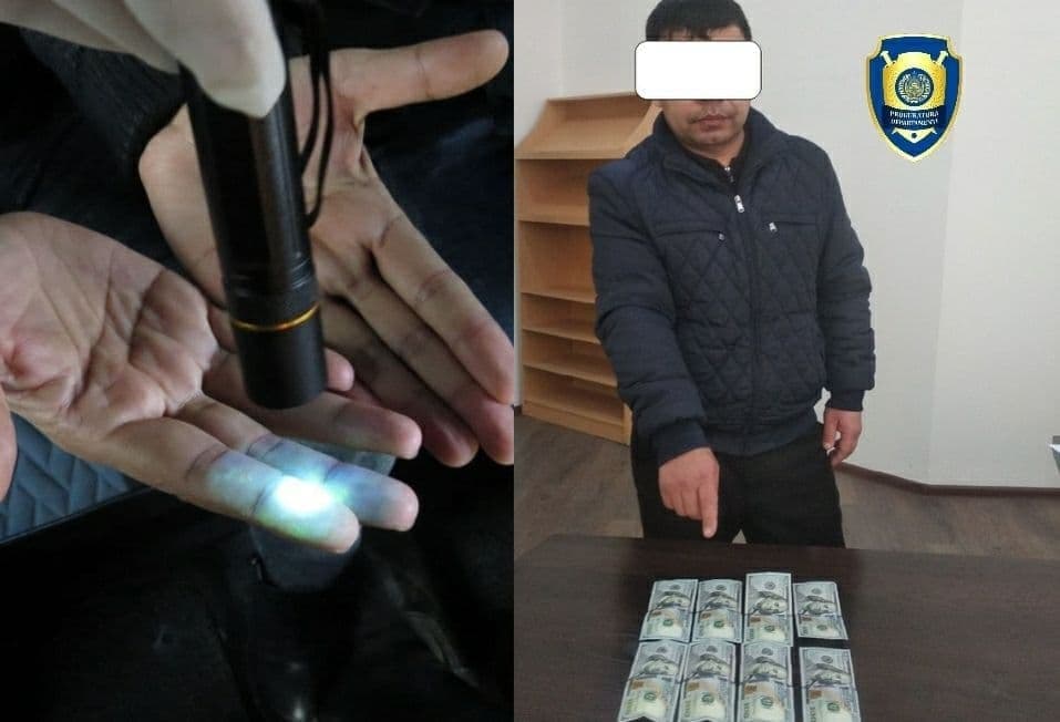 Surxondaryo va Namangan viloyatlarida o‘qishni ko‘chirib berishini aytib firibgarlik qilgan va pora olgan shaxslar ushlandi