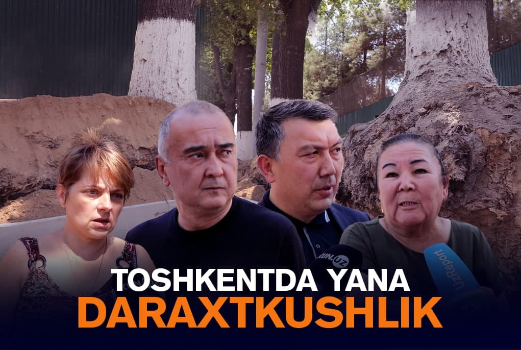 Daraxtlarga nisbatan navbatdagi varvarlik. Chilonzordan reportaj