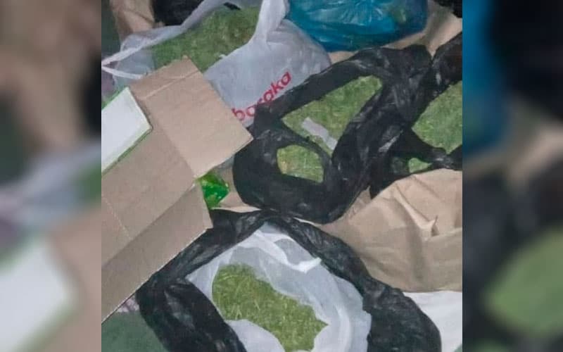 Samarqandda xonadonida 3,5 kilogramm marixuana saqlab kelayotgan shaxs ushlandi
